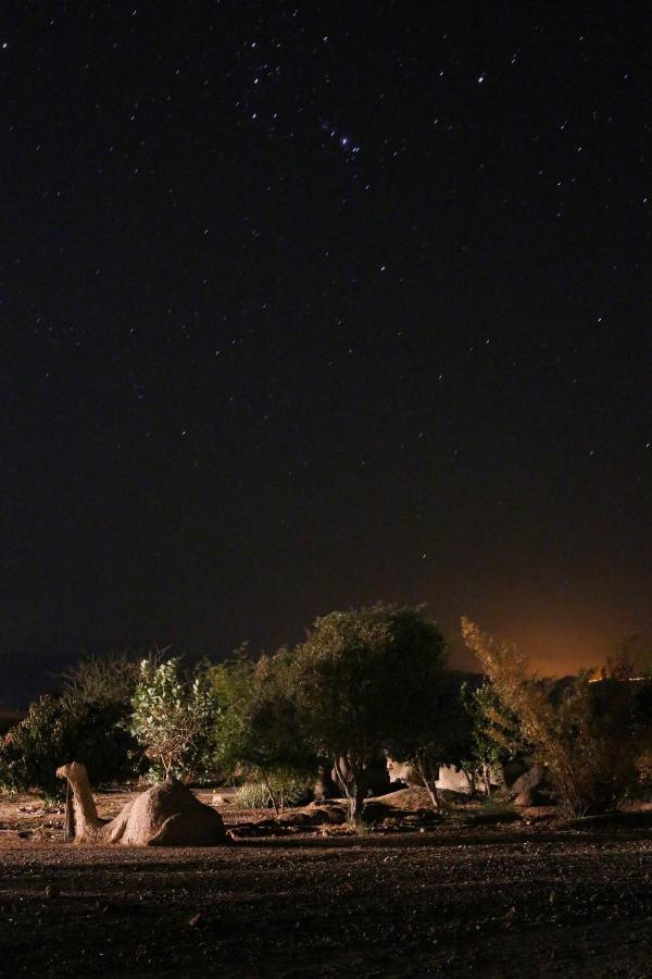 Desert Days Mud Cabin's Tzukim